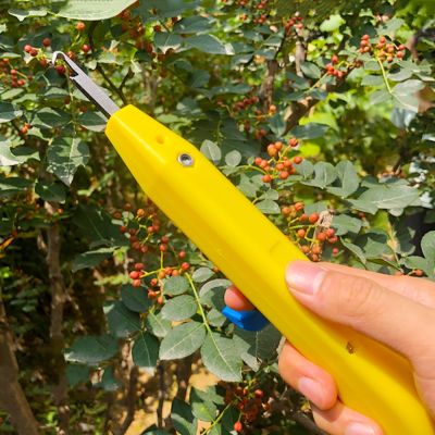 New Manganese Steel Cherry Picker Garden Fruit Shears Household Potted Trim Branches Small Scissors Gardening Tool