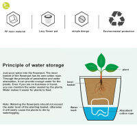 กระถางกระถางดอกไม้ติดผนังสำหรับอุปกรณ์สำนักงานในบ้านตกแต่งผนัง VFN ดูดซับน้ำอัตโนมัติ