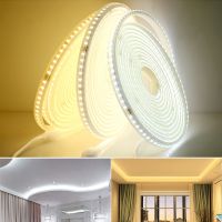 【LZ】 220V LED Strip Lights with EU Plug and Switch Flexible LED Light High Brightness Waterproof Kitchen Outdoor LED Lamp Tape Ribbon