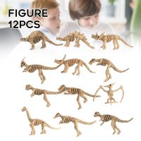 Hot Sale Set Of 12 Simulation Dinosaur Skeleton Mini Prehistoric Animal Bone Model Archeology Toy Gifts For Kids Collection Ship