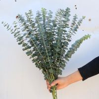 hotx【DT】 12pcs Artificial Eucalyptus Leaves Fake Branch for Wedding Outdoor Garden Decoration Bouquet Wreath