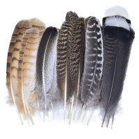 10 ชิ้น/ล็อตธรรมชาติ Eagle Feathers สำหรับงานฝีมือตกแต่งตุรกีไก่ฟ้านกนกฮูก Feather Decor Plumes อุปกรณ์เสริม Carnival-ea8