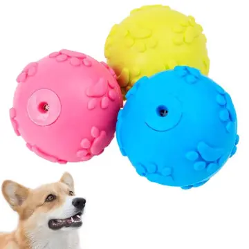 Outdoor toys outlet for small dogs