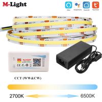 5m 10m DC 24V Tuya Wifi FOB CCT LED Strip Warm Cool White Linear Lights COB LED Tape 840LEDs/m RA90 Room Decor Voice for Alexa