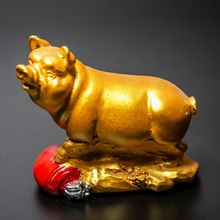 หมูมงคล รูปปั้นเสือสีทอง นักษัต12ราศี ประจำราศีปีกุน ปีหมู (ความสูง9ซม.) |  Lazada.Co.Th