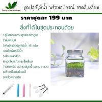 ชุดปลูกไม้น้ำ เพาะเมล็ดไม้น้ำ พร้อมอุปกรณ์ เซ็ท A ขวดสี่เหลี่ยม 199 บาท