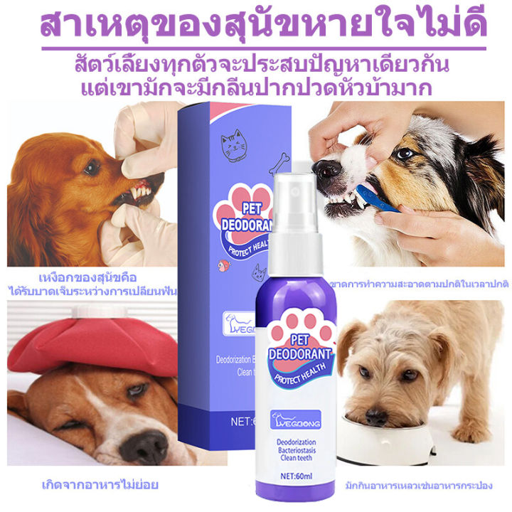 แนะนำจากหมอสัตว์เสี้ยง-yegbong-น้ำยาดับกลิ่นปากแมว-60ml-น้ำยาดับกลิ่นปากสุนัข-ป้องกันโรคในช่องปากของสัตว์เลี้ยง-ขจัดฟันคราบพลัคแคลคูลัสทันตกรรมใช้ได้ทั้งแมวและสุนัข-ดับกลิ่นปากแมว-ดับกลิ่นปากหมา-สเปรย