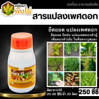 ? ดั๊กจี-3 (อาหารเสริมสูตรพิเศษ) 250ซีซี แปลงเพศดอกจากตัวผู้เป็นตัวเมีย