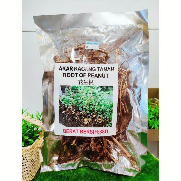 Akar Kacang 花生根 Root of Peanut (38g) RM9.00 Exp Date: 30/11/2026 | Lazada