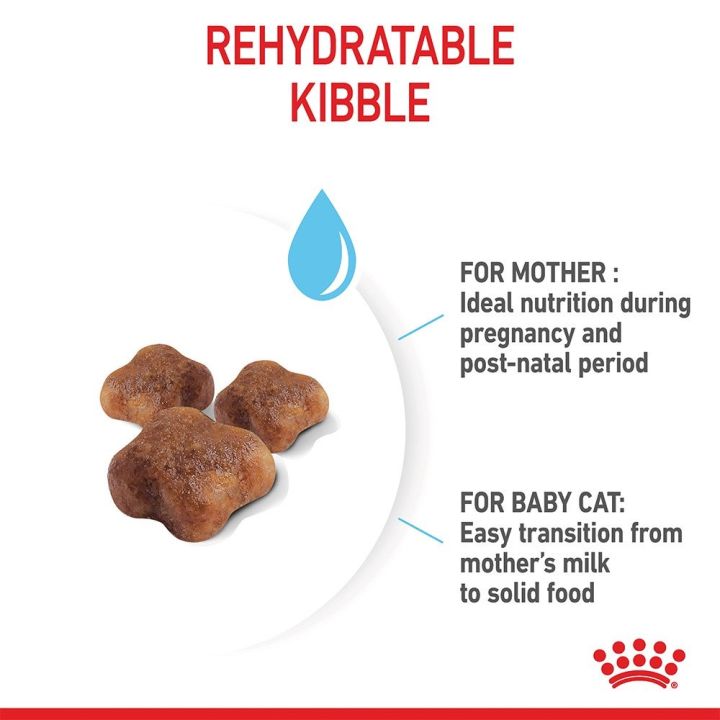 ส่งฟรี-royal-canin-starter-mother-amp-baby-cat-400g-อาหารแม่แมวตั้งท้อง-ให้นม-และ-ลูกแมวอายุต่ำกว่า-4-เดือน
