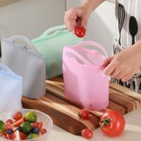 1000ml Silicone Food Storage Bag Sandwich Snack Fresh Bag Leakproof Containers Hangable Fresh Wrap for Food Freezer Cook Heating