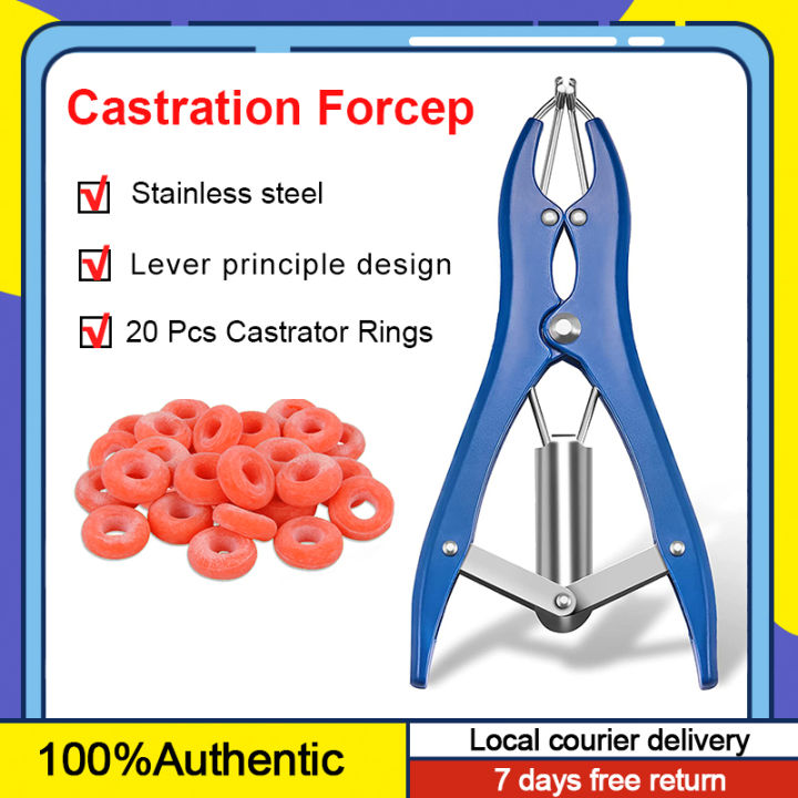 Shop Forceps For Cattle Castration with great discounts and prices online -  Jan 2024 | Lazada Philippines
