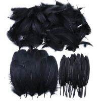 50 Pcs/Lot Feathers Decoration for Crafts Jewelry Making Accessory Diy Plumes Wholesale 3-7 inches