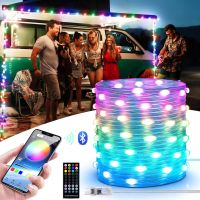 5M 10M 15M 20M USB Fairy Lights Dream Color LED String Lights Garland Lamp Bluetooth App Control Holiday Christmas Wedding Decor