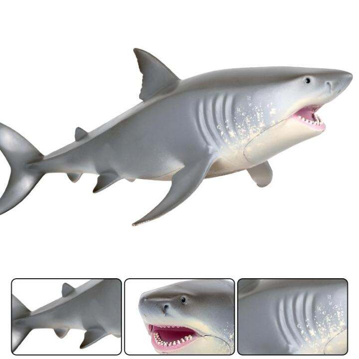 oenux-sea-life-สัตว์-great-white-shark-จำลอง-marine-big-shark-action-figures-pvc-รุ่นเหมือนจริงของเล่นเพื่อการศึกษาสำหรับเด็ก