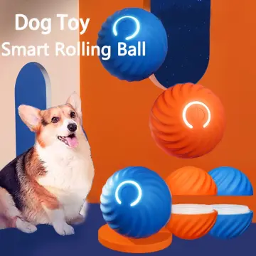 Smart Interactive Ball Dog, Best Interactive Ball Dogs