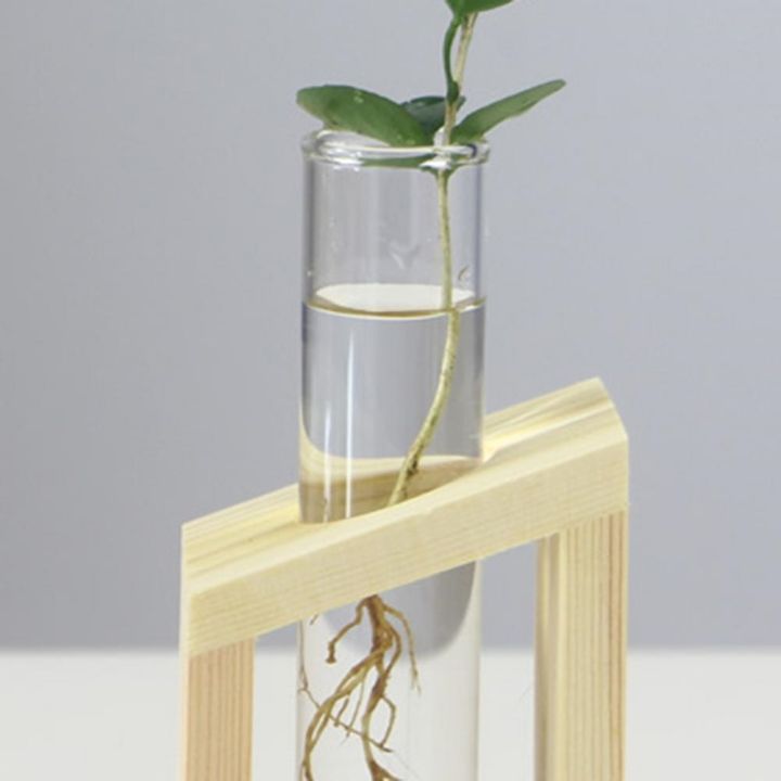 cw-glass-hyacinth-vase-transparent-bottle-pot-hydroponic-tube-test-vases-for