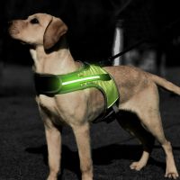 Luminous LED Dog Harness Dog Collar Safety Reflective Harness Vest For Husky shepherd Labrador Medium Large Dogs Pet Supplies