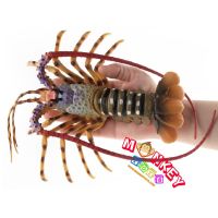 Monkey Toys - โมเดลสัตว์ Lobster กุ้งมังกร ออสเตเลีย เขียวอ่อน ขนาด 22.50 CM (จากหาดใหญ่)