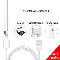 สายชาร์จ Apple Pencil 1 USB Charging Cable