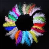 100pcs Plumes 4-6 InchesTurkey Marabou Feather Fluffy Wedding Jewelry Accessories Feathers