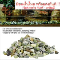 Fish Tanks Gravel Decoration Landscaping Aquarium Bottom Sand Natural Pebbles Stone 1kg.