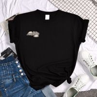 COD DSFERTRETRE Cute Koala Sleeping Woman Tshirt Shrot Sleeve Cotton T Shirt Loose O-neck Graphic T-shirt