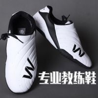 2023 Popular Men Tai Chi Shoes White Martial Arts Shoes Women Comfortable Taekwondo Shoe Big Boy Soft Sole Indoor Gym Shoes Man Shoes Accessories