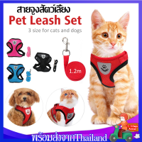 สายจูง สายจูงแมว สายจูงสุนัข สายจูงสัตว์เลี้ยงDog&amp;Cat Leads LeashสายรัดอกสุนัขXPH129