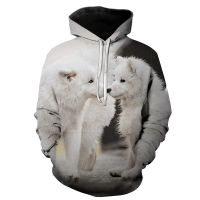 Mens Hoodie Oversized O-Neck Sportswear Harajuku Style Casual 3D Animal Printed Fashion All-match Mens Hoodie y2k Clothing Top