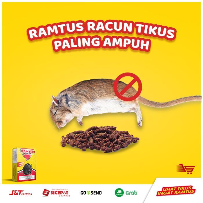 Racun Tikus Paling Efektif Ramtus Lazada Indonesia