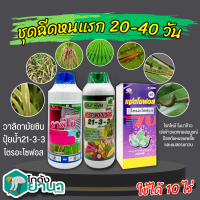 ? ชุดฉีดหนแรก วาลิโอ+เกรทพาวเวอร์(21-3-3)+แซดโซฟอส ขนาด 1ลิตรx3ขวด ฉีดข้าว 20-40วัน ป้องกันใบไหม้ แมลงรบกวน ข้าวแตกกอ