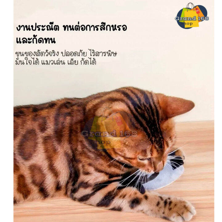 a347-ของเล่นแมวหนูวิ่ง-หนูวิ่งหนีอัตโนมัติ-แถมฟรี-ถ่าน-ของเล่นสัตว์เลี้ยง-ของเล่นน้องแมว