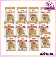 (ยกโหล 12 ซอง) Royal Canin Poodle Adult Wet Dog Food อาหารเปียกสุนัข พุดเดิ้ล สำหรับสุนัขโต อายุ 10 เดือนขึ้นไป 85 กรัม