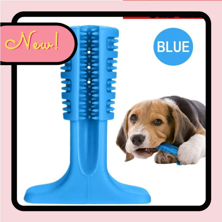 Bristly dog toothbrush pets oral care tool（Quality Goods） Lazada PH