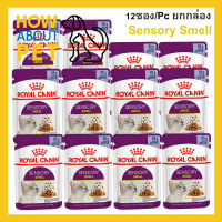 อาหารแมวเปียก Royal Canin Sensory Smell Jelly อาหารแมวกินยาก ชิ้นเนื้อในวุ้นเจลลี่ สำหรับแมวโตอายุ 1 ปีขึ้นไป 85กรัม (12ซอง)  Royal Canin Sensory Smell Wet Cat Food Chunks in Jelly 85g. (12pc)