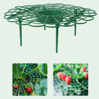 Strawberry Supports 3 Pack Strawberry Support Stand 3 Pack Garden Growing Plant Racks Round Support Stand For Potted Plants