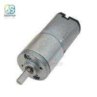 16GA-030 6V 12V Motor Electric Torque 30 60 150 200 300