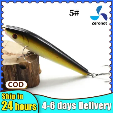 Fishing Accessories Lure - Best Price in Singapore - Jan 2024