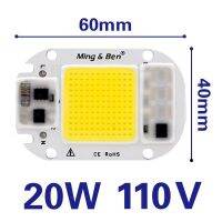 【❖】 Correct Engineering Service Limited 2ชิ้นหลอดไฟ LED COB ชิป20W 30W 50W สมาร์ท IC 110V 230V ชิป LED สำหรับ DIY LED ไฟฟลัดไลท์ Day สีขาวสีวอร์มไวท์ไฟ LED ลูกปัด