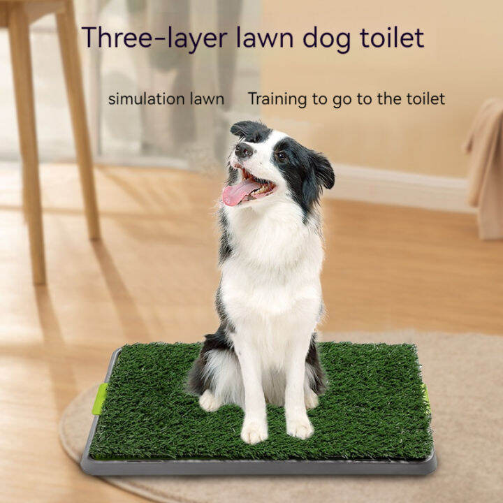 Plastic Matting For Dog Poop Tray Poop Tray Dog Pee Pad Pet Lawn Dog
