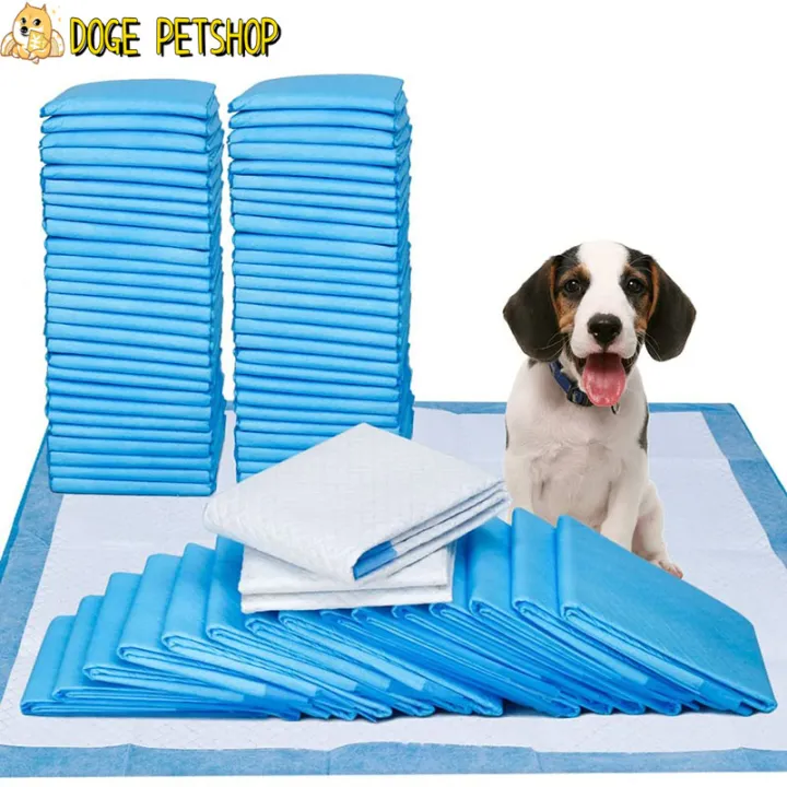 are pee pads good for dogs