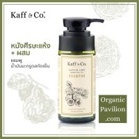 Kaff &amp; Co Kaffir Lime Essential Oil Shampoo แชมพูน้ำมันมะกรูดสกัดเย็น (150ml)