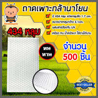 ถาดเพาะกล้านาโยน แพ็ค 500 ชิ้น ผสมสารป้องกันUV มี 434 หลุม ถาดเพาะกล้า ถาดนาโยน ถาดเพาะปลูกกล้า ถาดกล้านาโยน