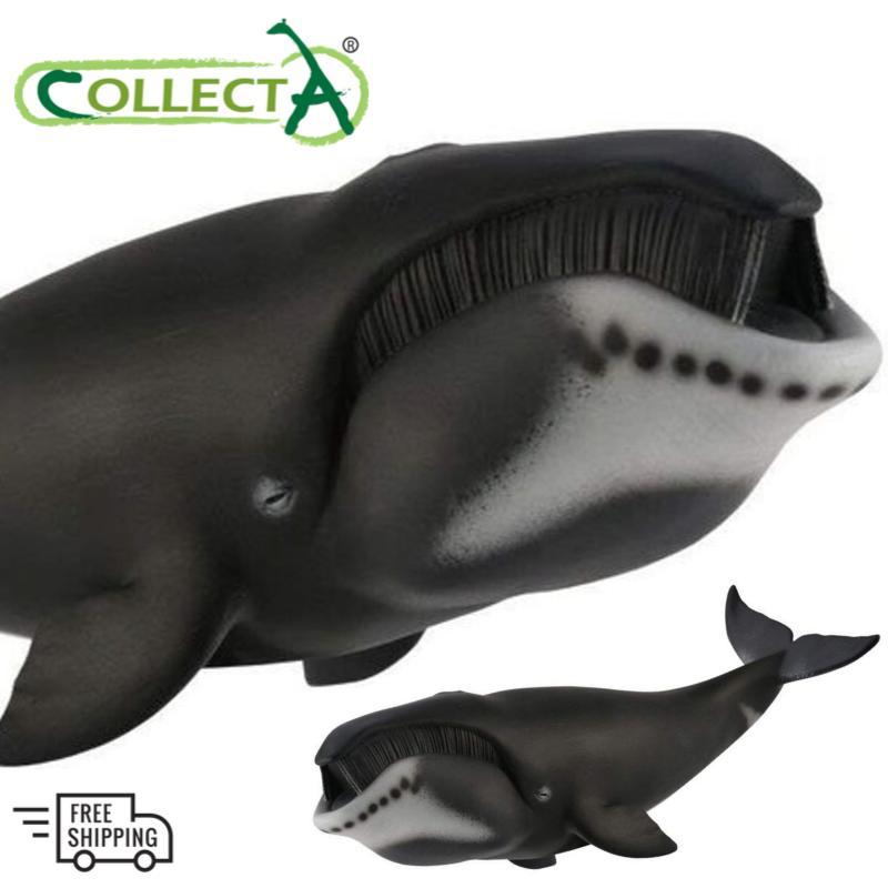 Collecta 88835 Sperm whale Miniature Animal Figure Toy 