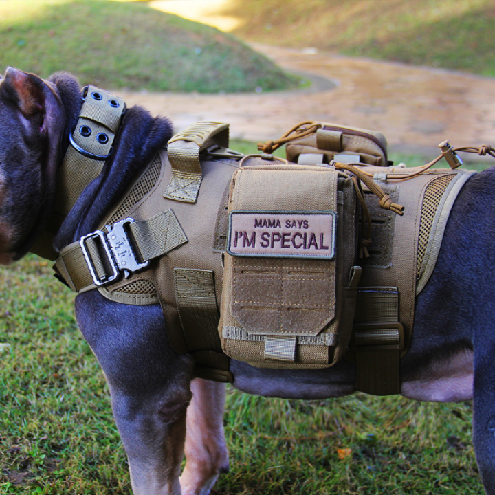 ทหารสายรัดสุนัขขนาดใหญ่สัตว์เลี้ยงเยอรมันต้อน-k9-malinois-เสื้อกั๊กฝึกอบรมยุทธวิธีเทียมสุนัขและสายจูงชุดสำหรับอุปกรณ์สุนัข