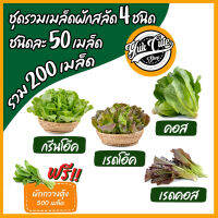 (แถมเมล็ดผัก) เมล็ดพันธุ์ผักสลัด 4ชนิด รวม 200เมล็ด อัตราการงอก95% เมล็ดพันธุ์ ผักสลัด เมล็ดผัก เมล็ดผักสลัด พันธุ์พืช พันธุ์ผักสวนครัว ผั