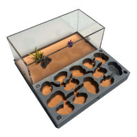 3D Flat Nest Plane Series Acrylic Ant Workshop Castle Ecological With Feeding Area