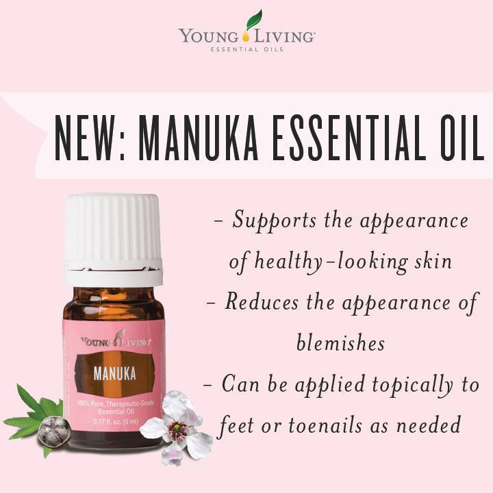 Young Living Manuka Essential Oil 5 ml by Young Living US (100