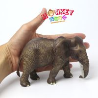 Monkey Toys - โมเดลสัตว์ Elephant ช้าง เอเชีย ขนาด 13.50 CM (จากหาดใหญ่)